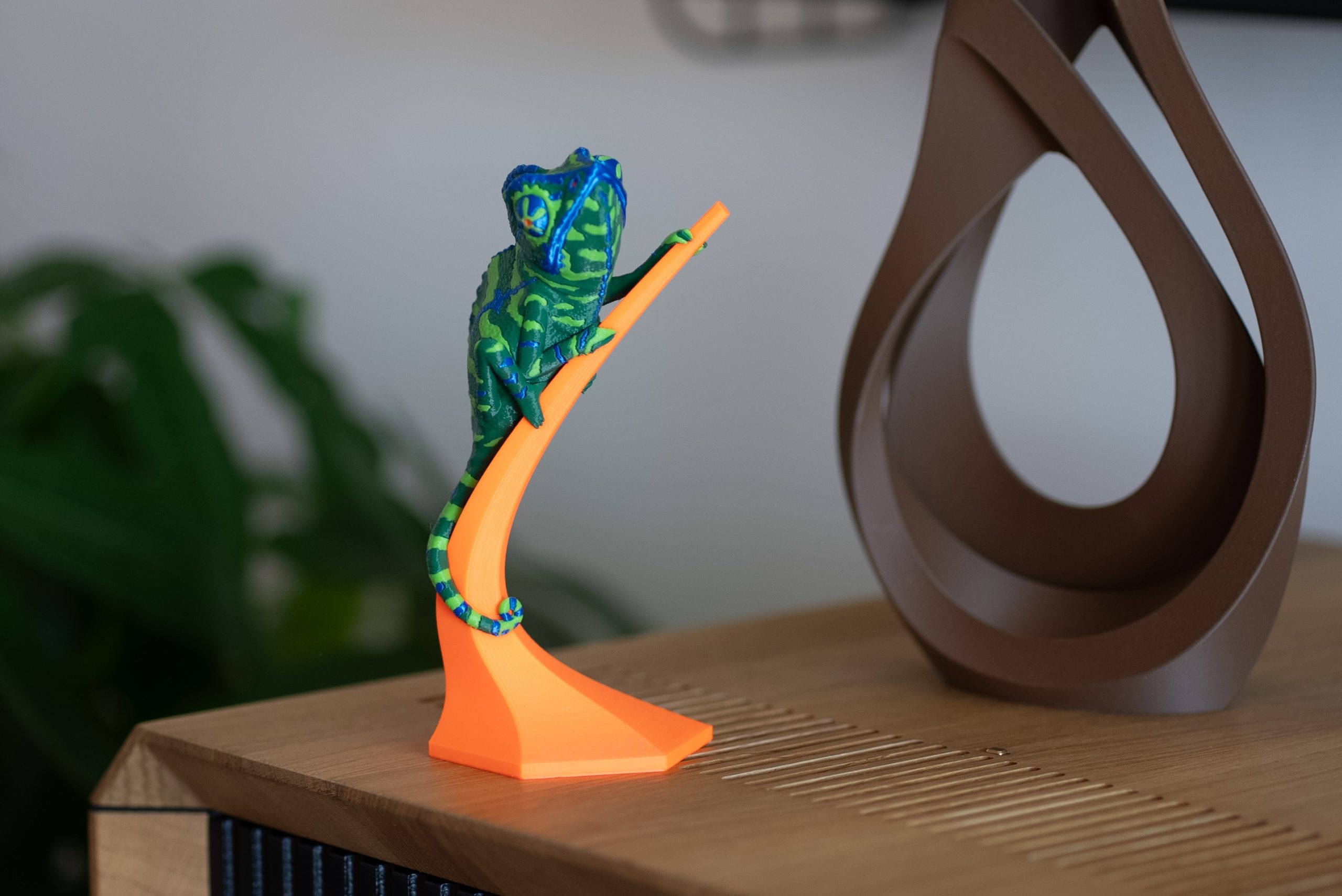 Chameleon colour print